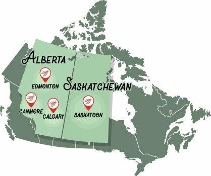 Innovative Pest Solutions