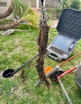 Prodigy Plumbing Sewer & Drain