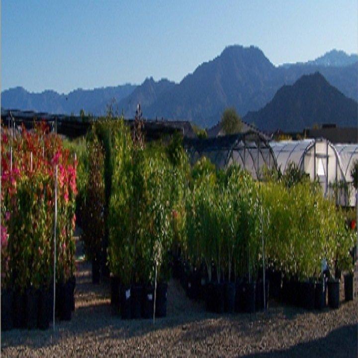 Bob Williams Nursery Inc