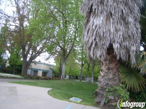 Wayne Ting Associates