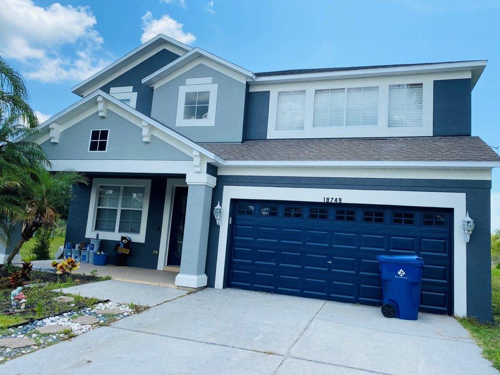 Alpha Painting Tampa