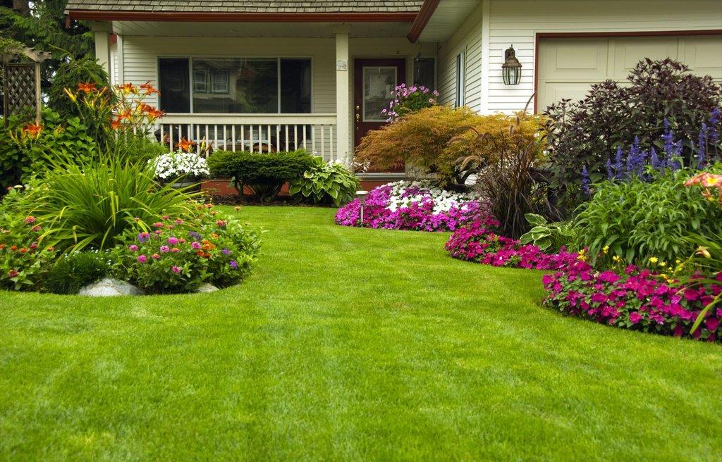 Griffin Termite & Pest Control