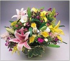 Flower Cart of Lakeland