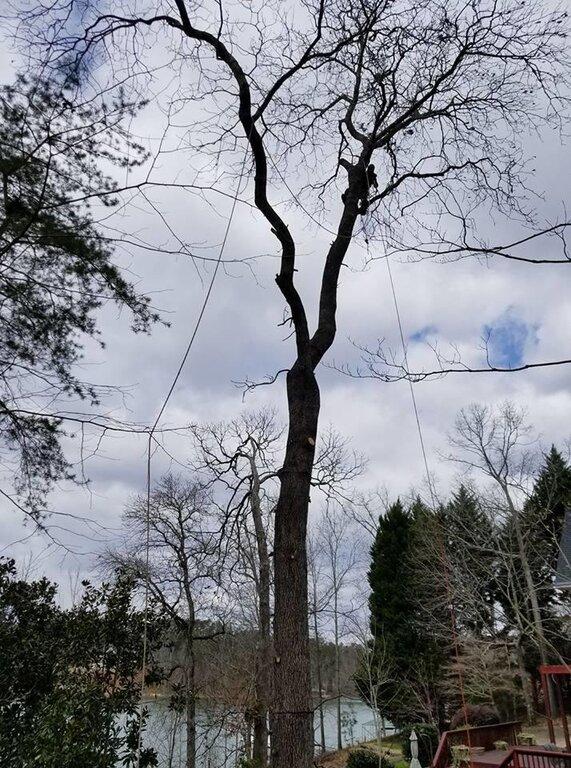 The Lumberjacks, LLC