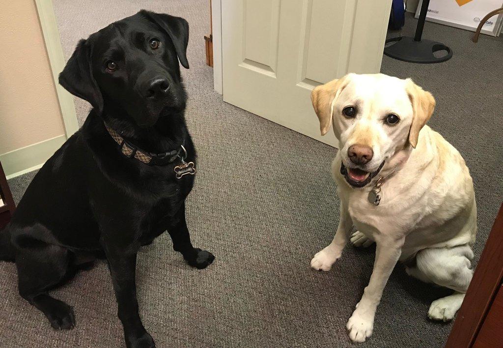 Daniel Wuthrich - Allstate Insurance Agent