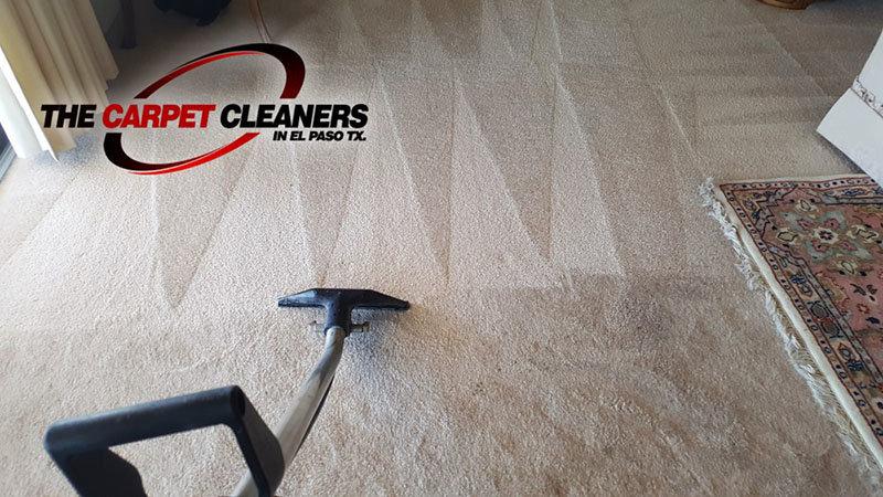 Carpet Cleaners