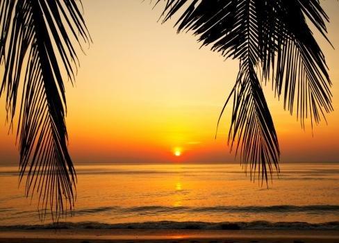 Paradise Palms Property Management