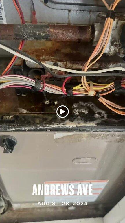 Best Neighbor Home Services