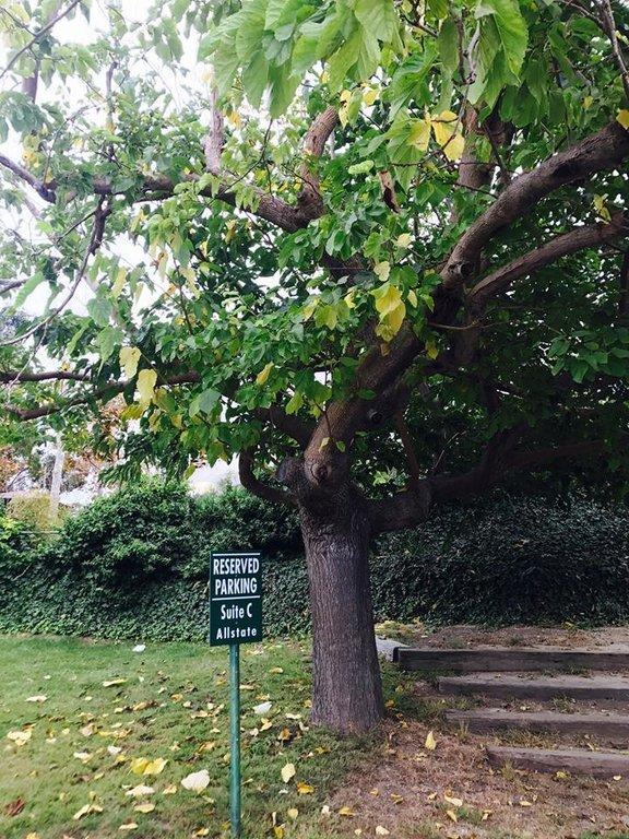 Allstate Insurance: Robert Feldman