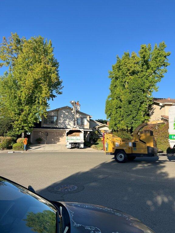 Hernandez Tree Service