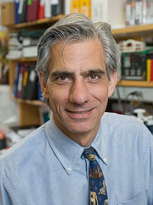 Albert M Maguire, MD - Scheie Eye Institute Radnor