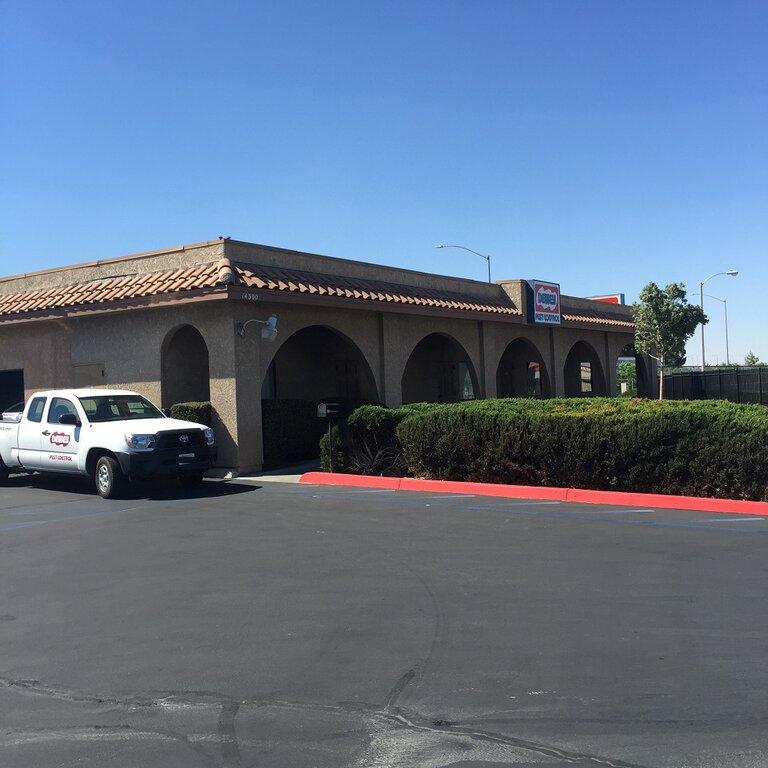 Dewey Pest & Termite