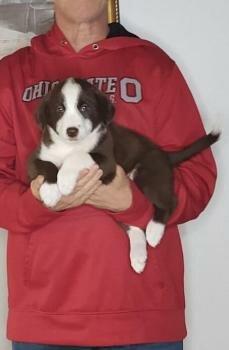 Heaven to Earth Rescue