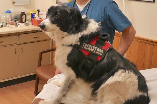 Watertown Urgent Care