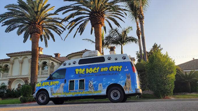 Big Dogs and Cats Pet Mobile Grooming