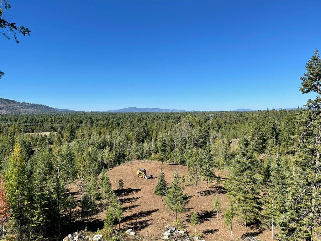 Next Generation Logging