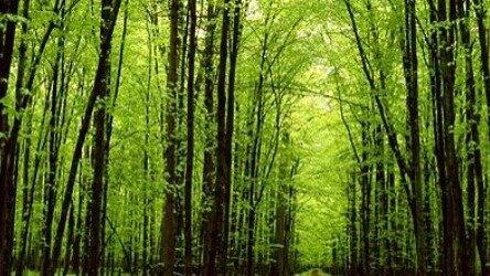 Dr Don Goodman, Ph.d