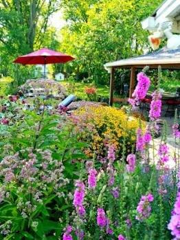 Chesapeake Landscape Group