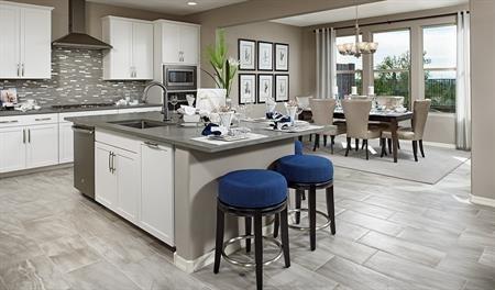 Arroyo Nopal By Richmond America