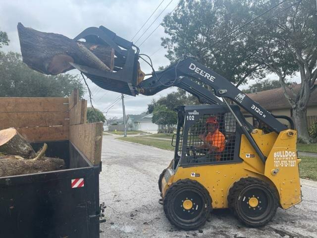 Tree Ninjas Tree Service