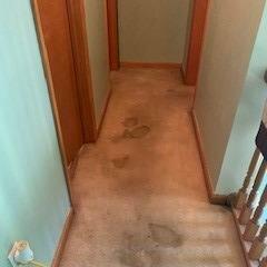 Polished JEMM Floor Care