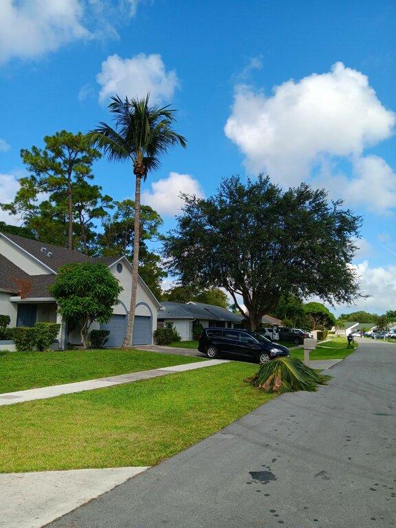 Green Earth Landscaping & Lawn Care-West Palm Beach