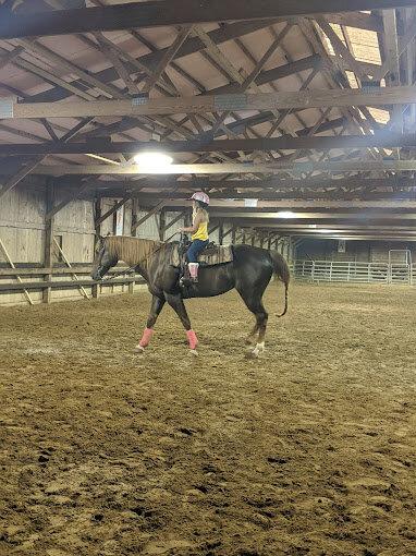 Post & Rail Stables Inc