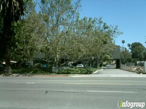 Chyneitha Cook Psychological