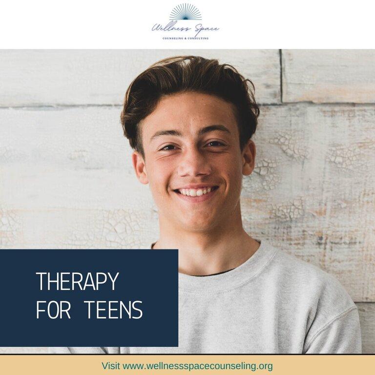 Wellness Space Counseling and Consulting, LLC