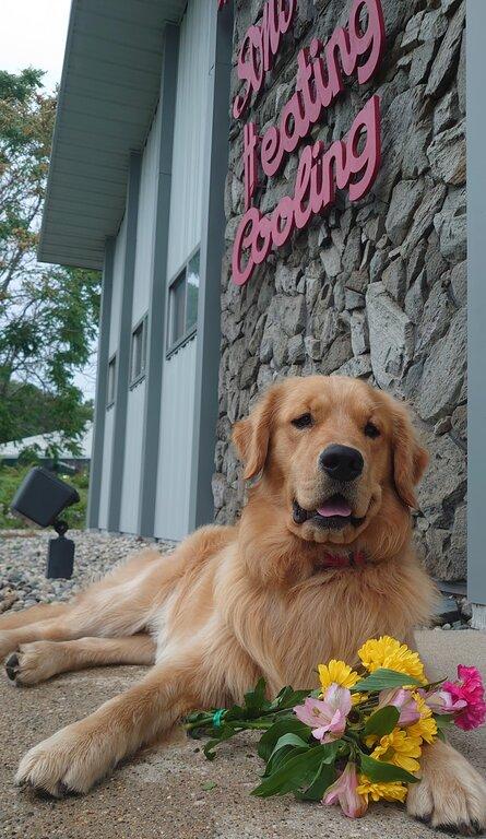 McKellips & Sons Inc