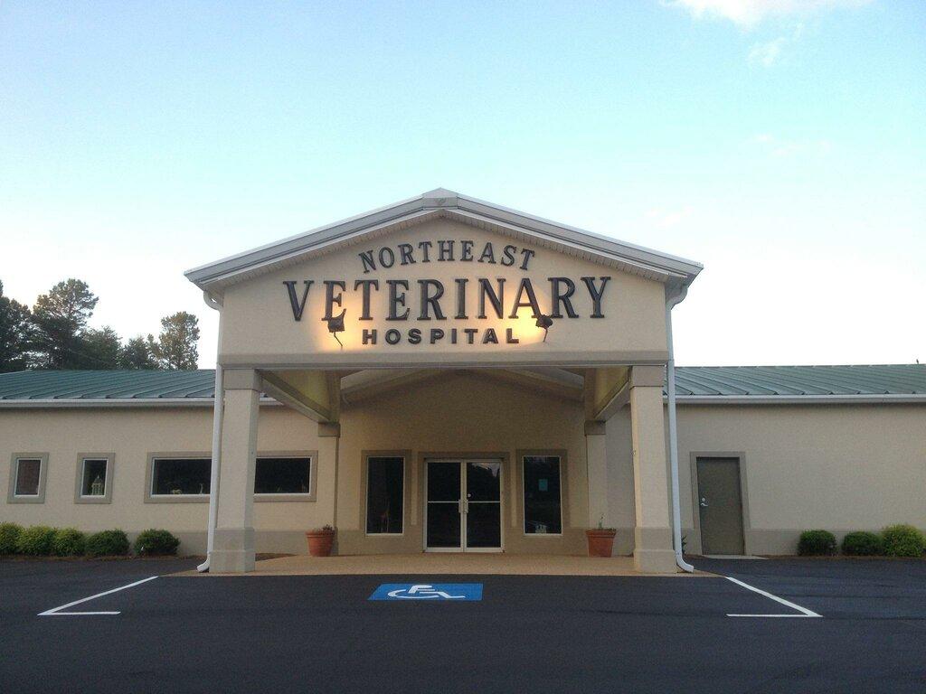 Northeast Veterinary Hospital