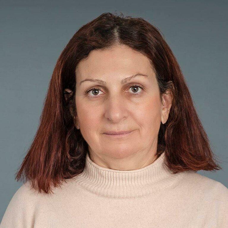 Alla A Mesh, MD - Joseph S & Diane H Steinberg Ambulatory Care Center-Cobble Hill