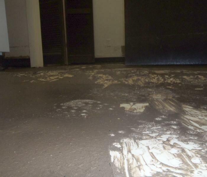 SERVPRO of Colorado Springs Southeast