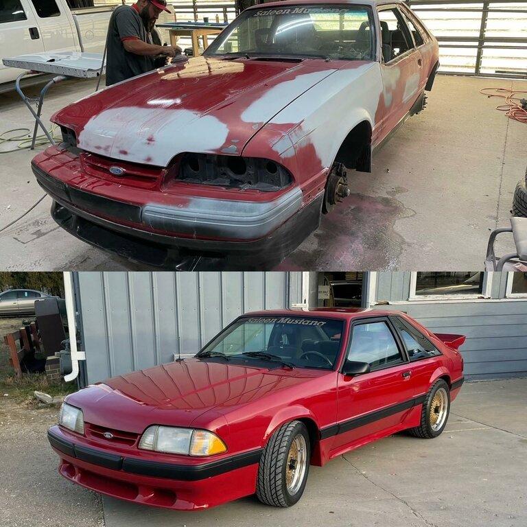 Platinum PDR Plus Paint