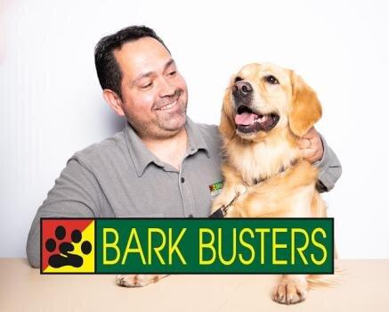 Bark Busters in Home Dog Training-Calgary