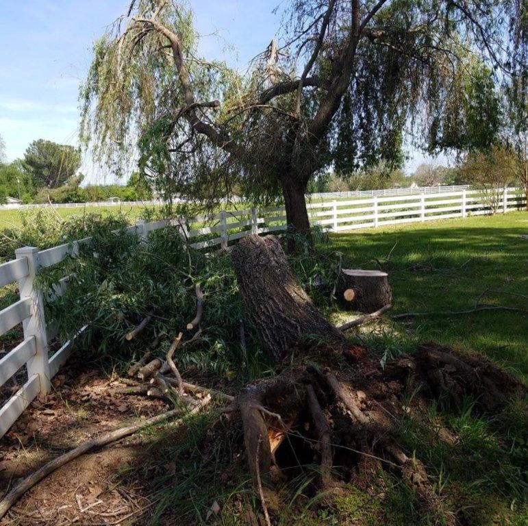 Valley View Tree Services