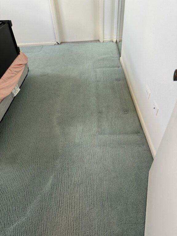 All American Carpet Cleaning