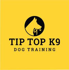 Tip Top K9 Dog Training Irving