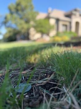 Clever Irrigation LLC