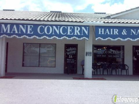 The Mane Concern Hair