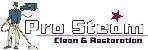 Pro Steam Carpet Care