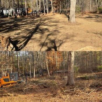 Forestry Mulching and Stump Grinding By Maine Tiller LLC