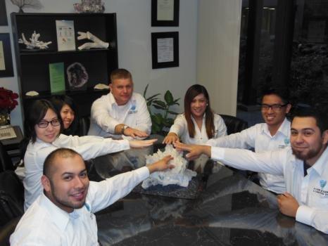 A1 Domestic Professional Service Inc