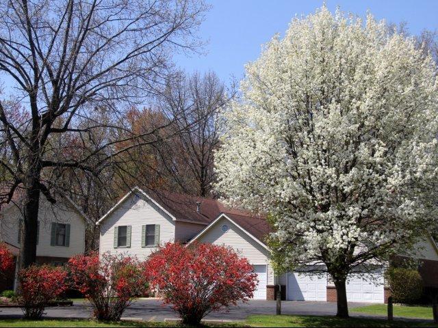 Hunters Pond Apartments