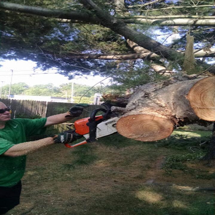 Quality Lawn Care By Nick Mayes