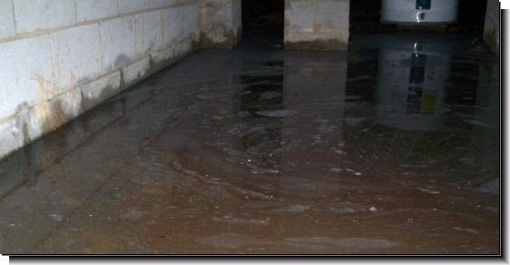 Reliable Basement Service LLC