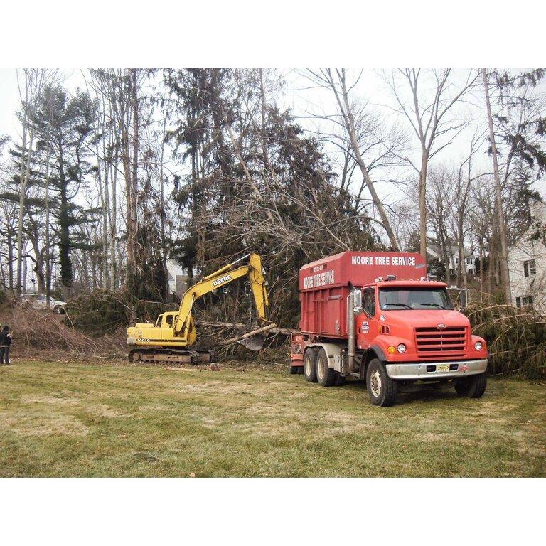 Moore's Tree Service