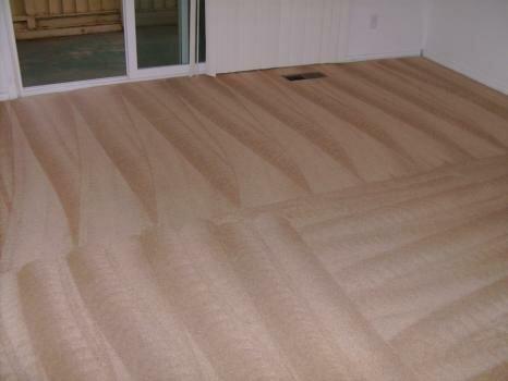 NOVA Rugs Carpet Cleaning - Sterling