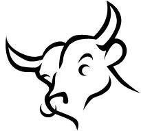 El Toro Carpet & Tile Cleaners