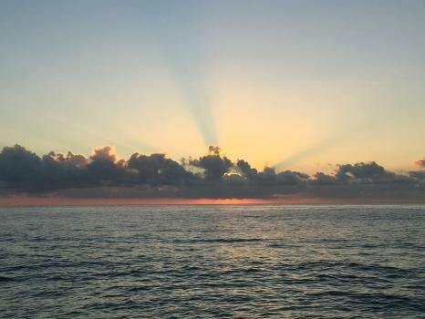 It's Logical Strategic Planning Services